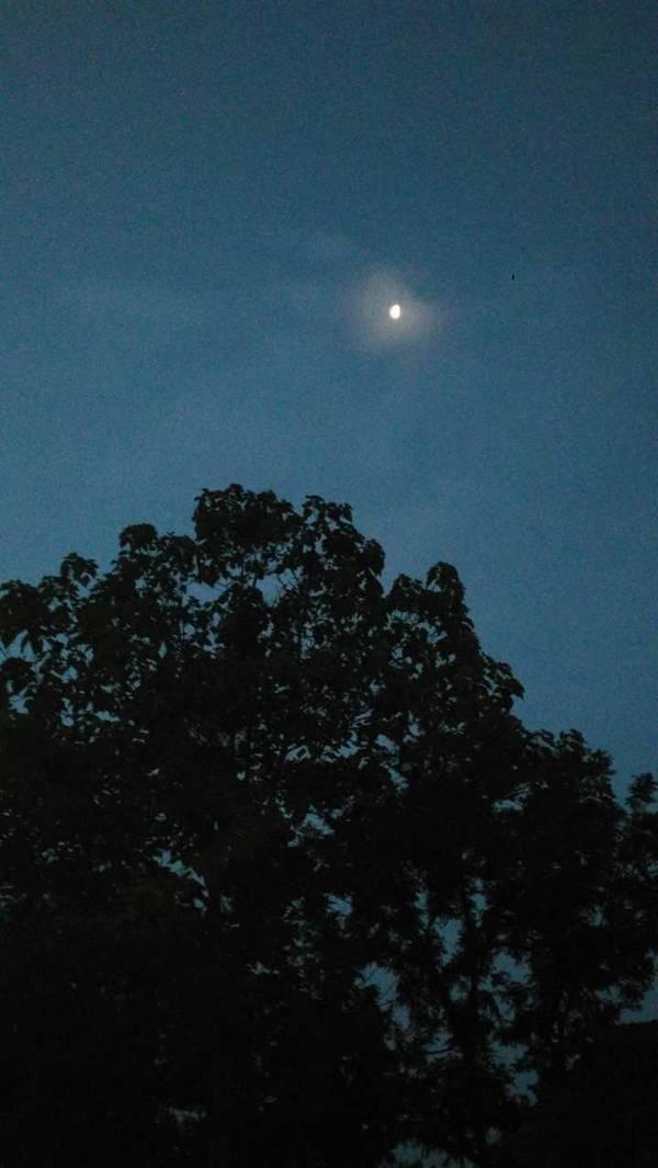 月夜 一深更月洗寂寥添，院柳如烟拂舍檐枕上已知春色近，黄鹂细语入窗帘二