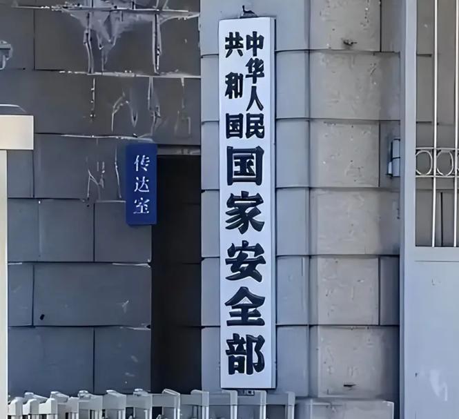 万万没想到！咱们此前抓捕的一大批间谍，本以为都是被境外势力洗了脑，结果真相让人后