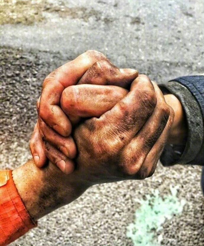 这双手剪过戒指，开过锁，扛过煤气罐，抱过小猫小狗；这双手在烈日下抱着水枪，在暴雨