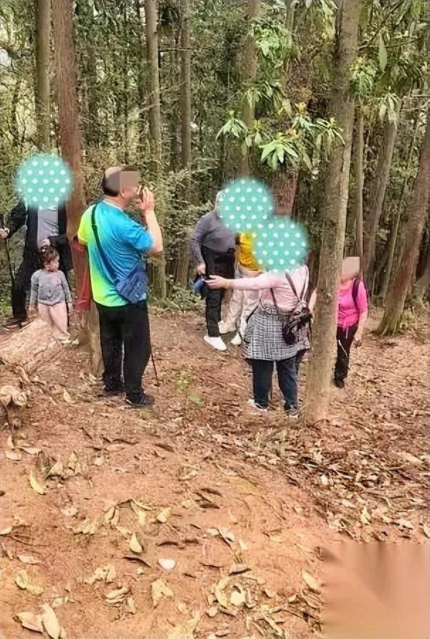 这群老人爬山出事了叫救援的时候反倒凶起了接警的救援人员，你敢信？几个