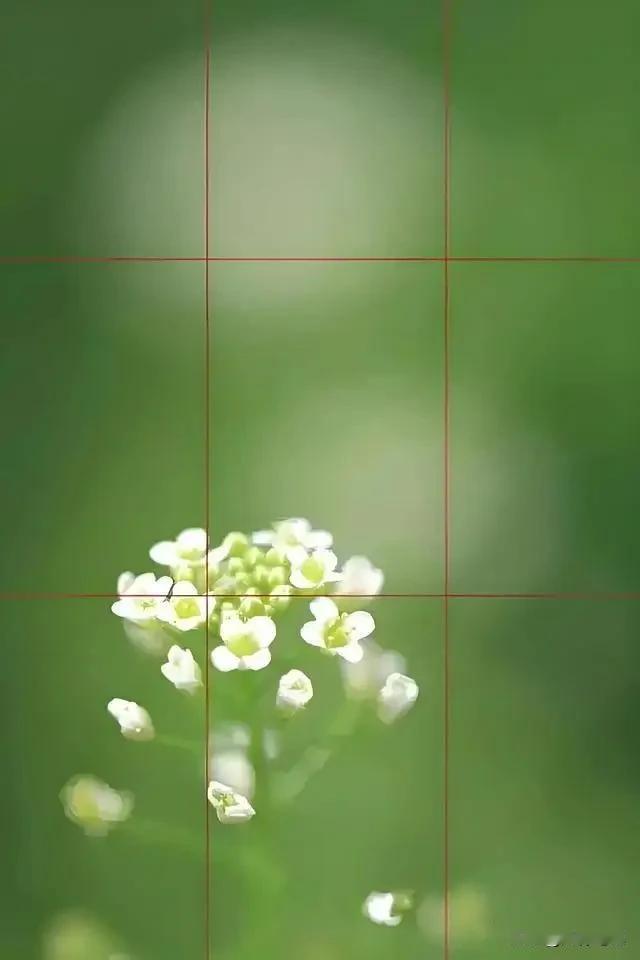 手机摄影也能出大片！6个构图用光技巧让你告别游客照很多朋友觉得好照片必须靠贵