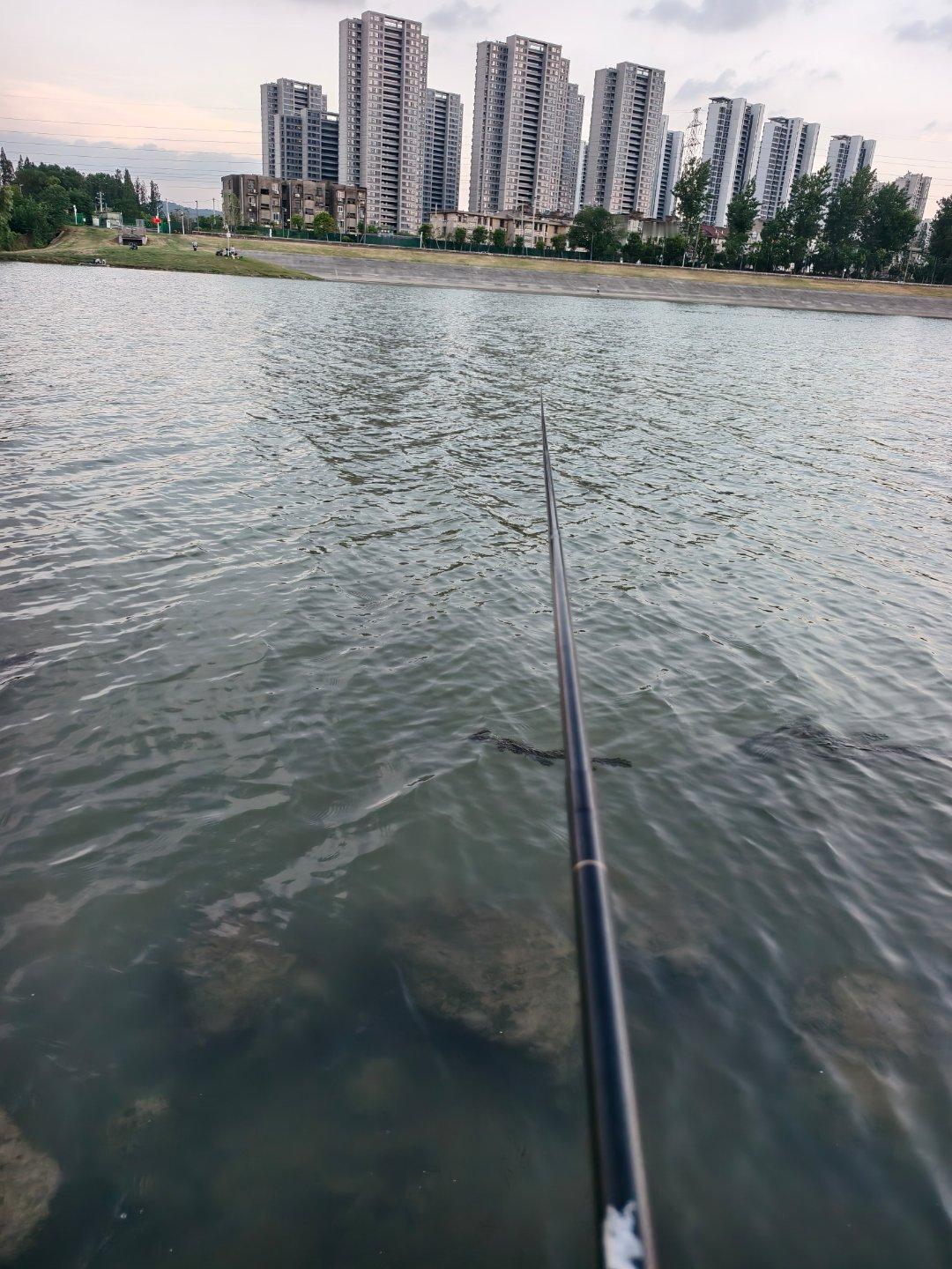 今年成都是不是补跌比较明显啊？有没有成都的朋友…成都过去两年是中国地产第一城，不