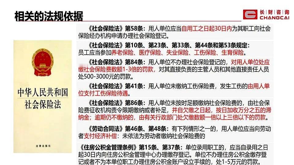 社保局一句话：不补缴就扣税，还要查全部员工。老板当场愣住，这不是钱的问题，是连