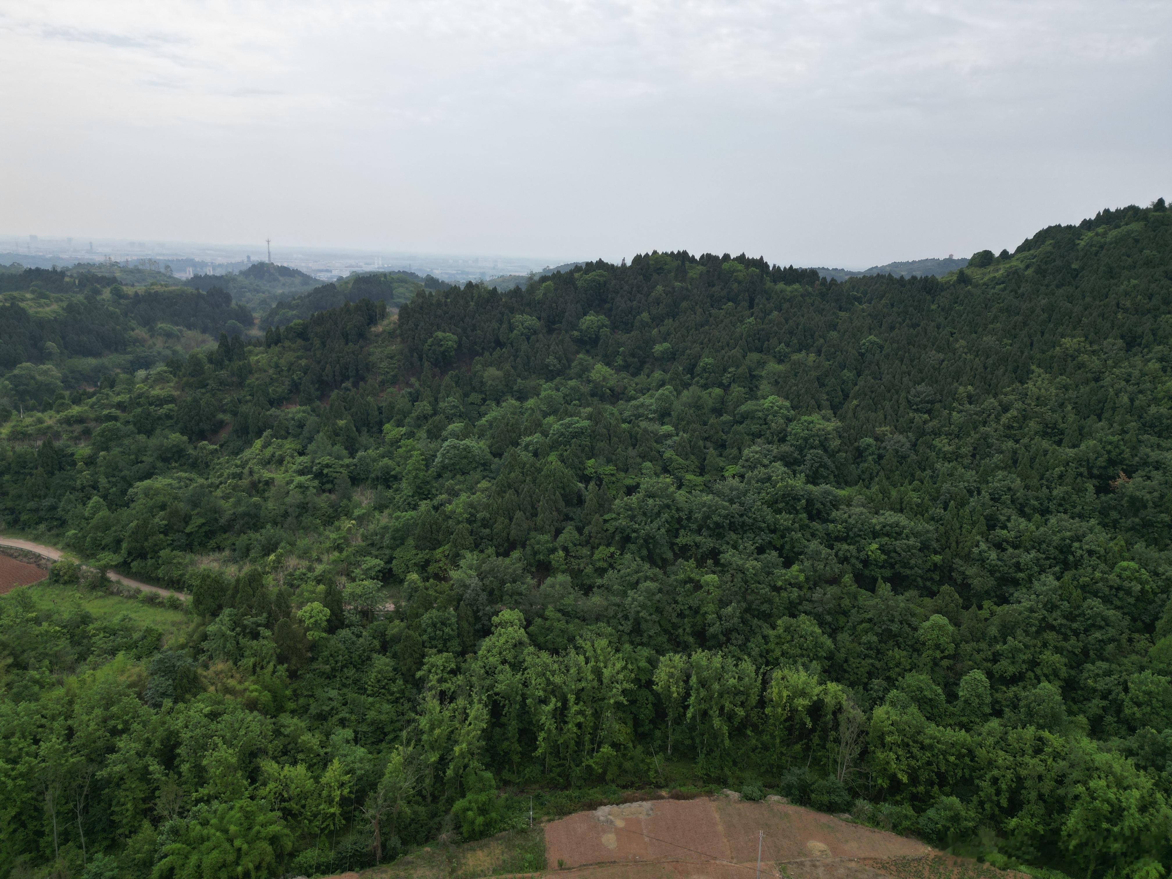 打算在山区建房的朋友们注意了，记住道先生这句大实话，如果屋后挨着大山，房前周边千