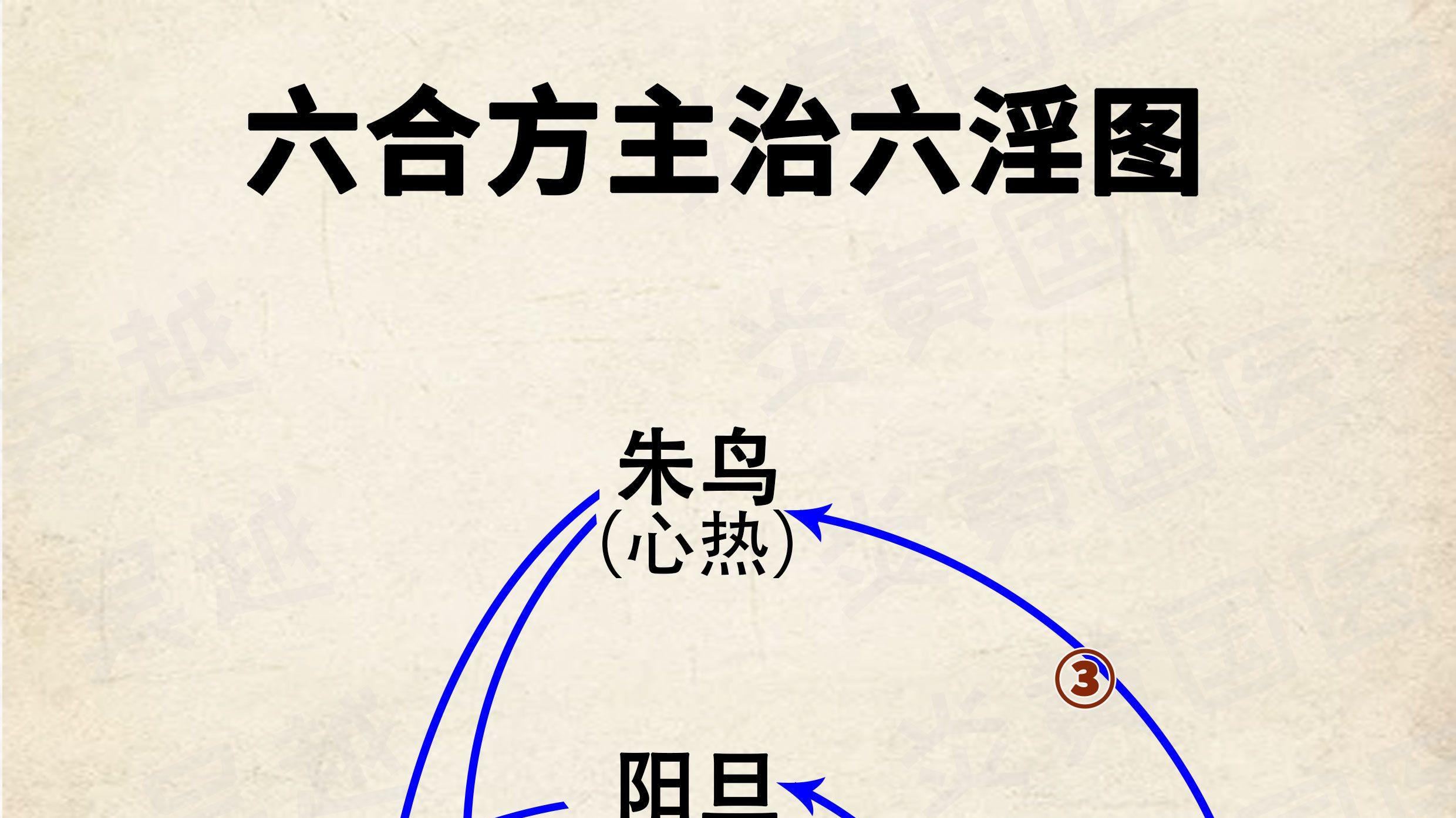 辅行诀伊尹六合方在伤寒杂病中的直接运用02: 伊尹小青龙汤