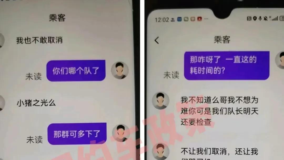 别闹了! “小猪之光”集体扎针坑同行? 司机: 队长让我下的