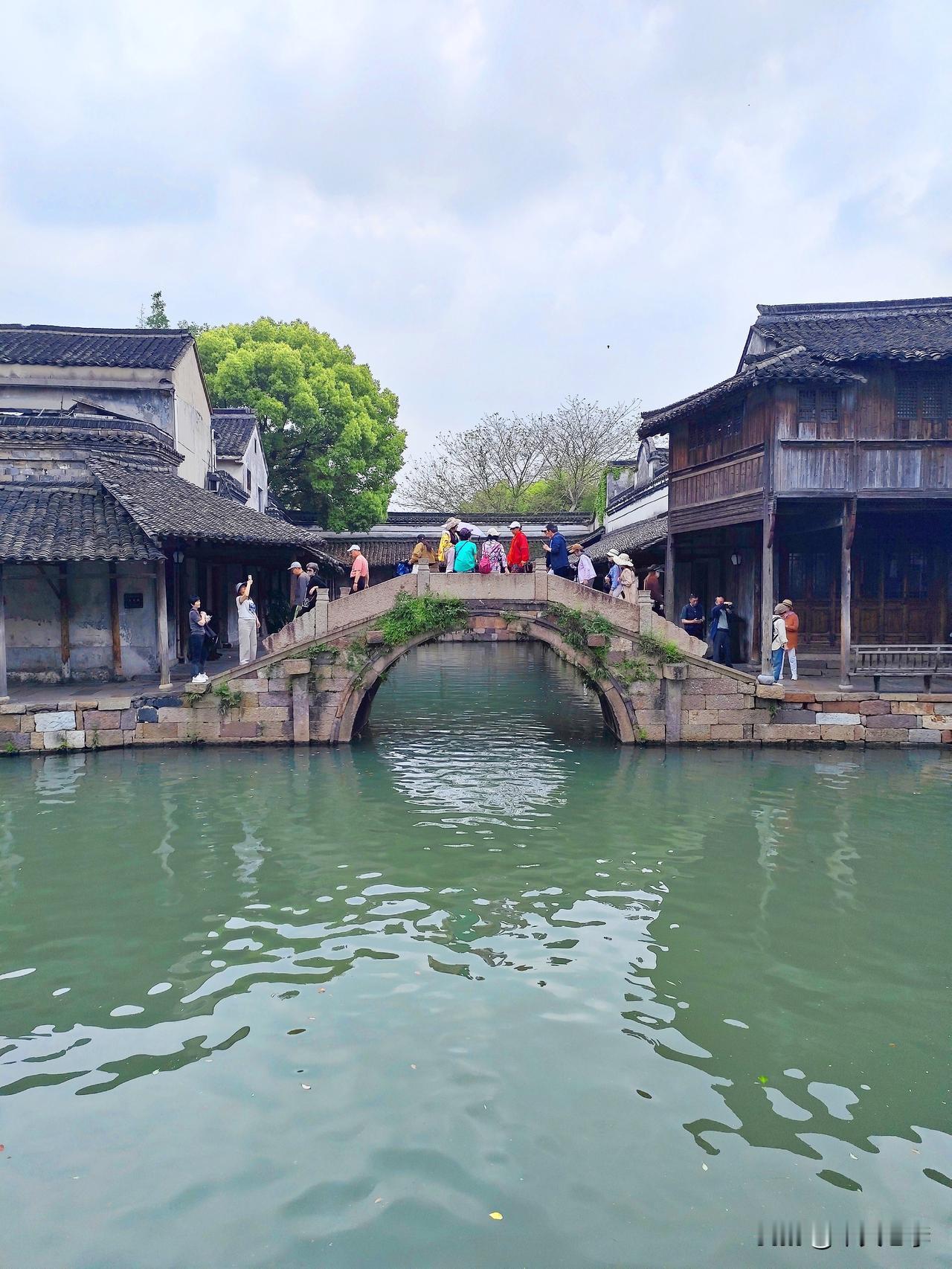 随拍乌镇东栅景区。江南水乡乌镇分为两个景区，即西栅乌镇和东栅乌镇。东栅较西栅规