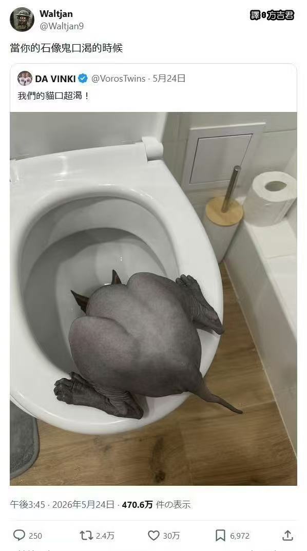 这啥玩意