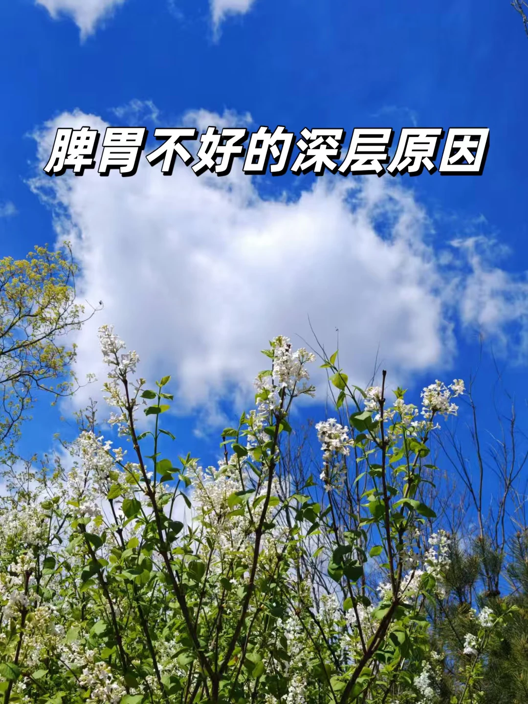 脾胃不好的深层原因