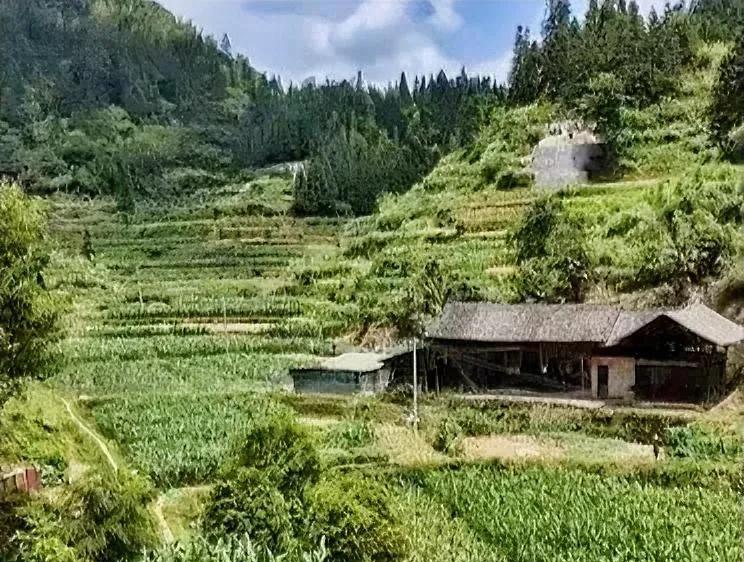 我们村里有不少光棍，年轻时不想成家，现在60多岁成了低保户。他们每月能领1200