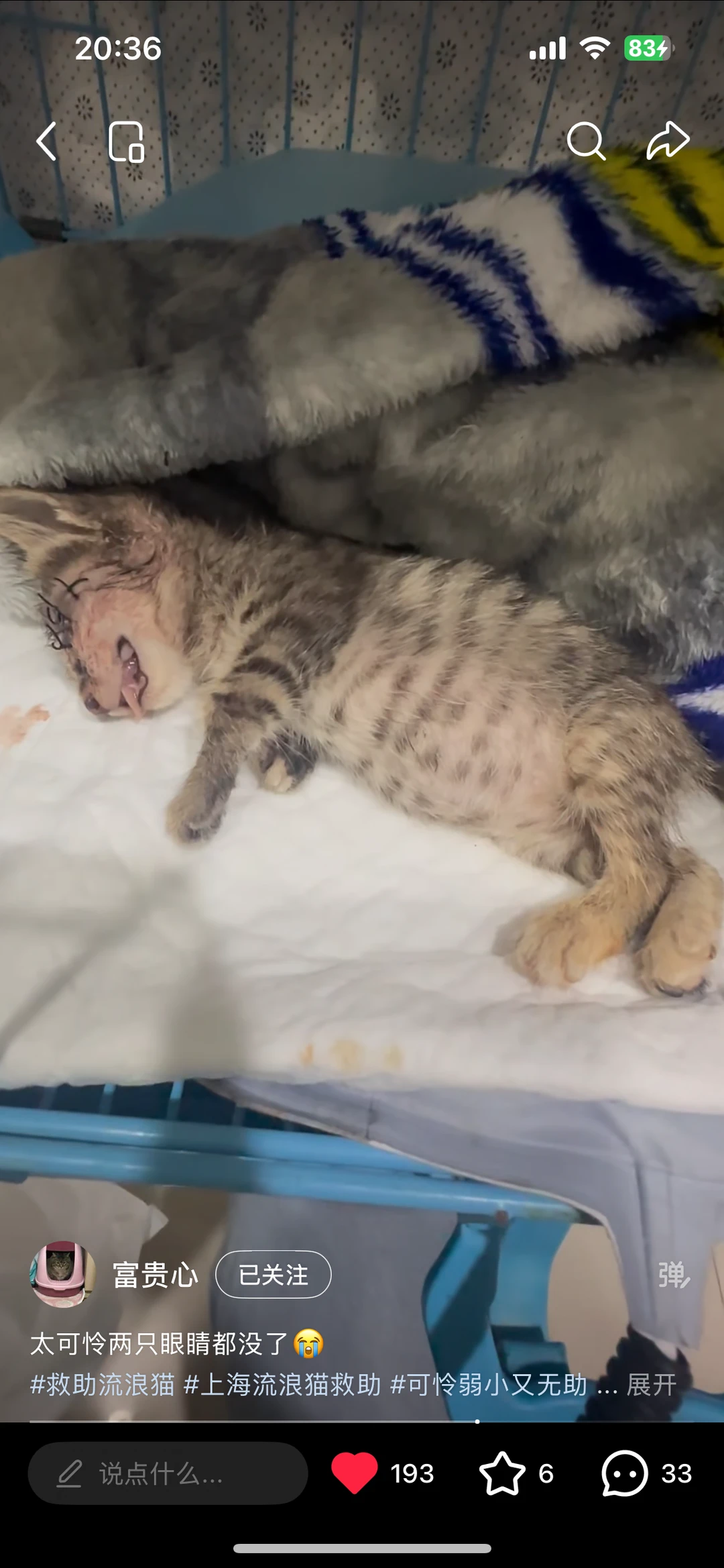 小猫咪能有什么坏心思！