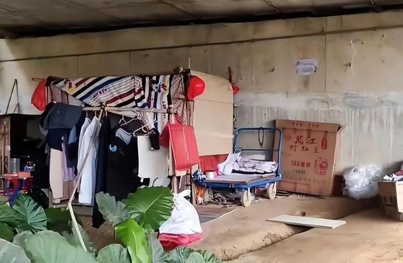 女子长期住在桥洞下，身边却每天都有不同陌生男人前来照顾她，送来食物和饮水，陪伴关