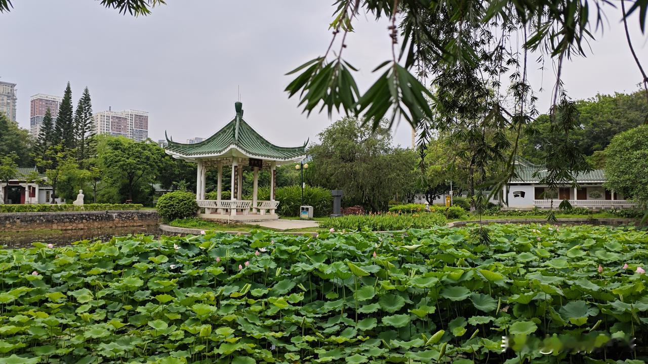 东方小孙走了，董宇辉走了，挥一挥手，带走了曾经的辉煌，留给俞总的，是在直播行业，