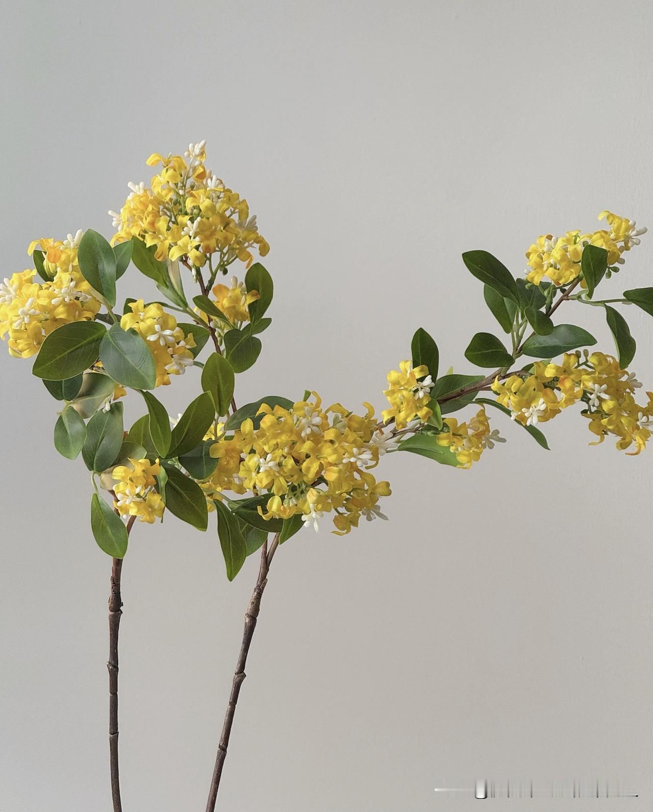 千万不要供养亲戚邻居张阿姨就是一个例子​她让失业在家的弟弟一家，在她的房子里