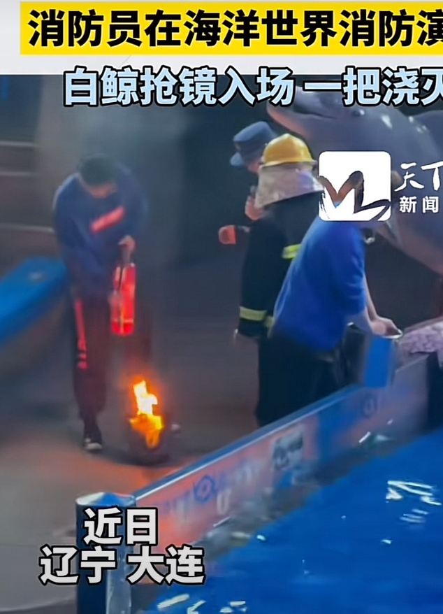 近日，大连海洋馆工作人员在海洋馆里面进行消防演练，刚把火点着，还没有来得及用灭火