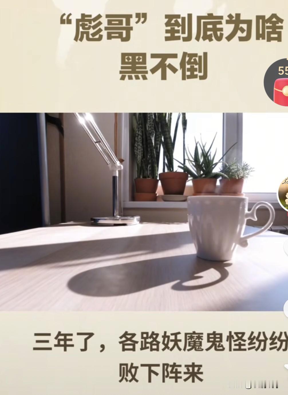 笑死人了😆鸡圈会长说，他们皖西地区麻黄鸡养殖周期500天以上、单只成本远超