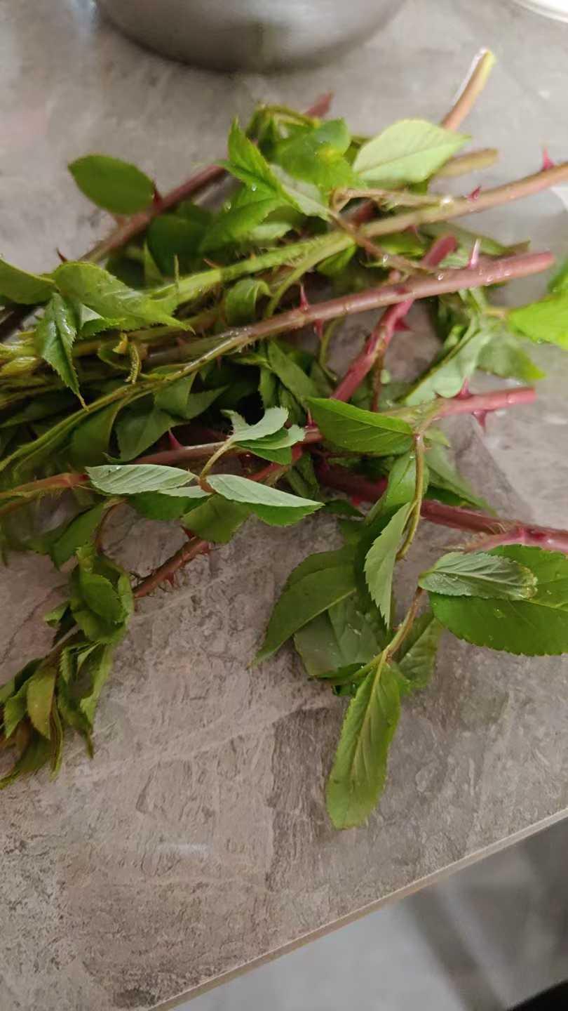 朋友圈有个认识的人，经常晒娃优秀，晒婆婆疼她，晒和老公的恩爱。有一次，她的好友