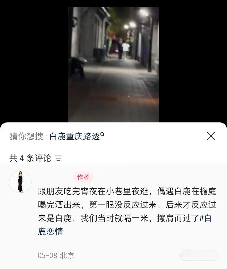 白鹿这是和谁一起出去玩了