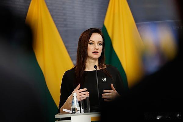 欧盟这波“溜号”操作笑不活了！替立陶宛出头在WTO告了中国3年，最后居然灰溜溜终