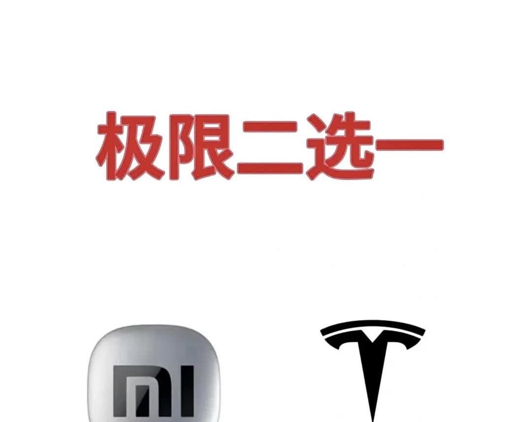选特斯拉还是小米？特斯拉modely：电车头牌，性能好，安全！还有五年免息，