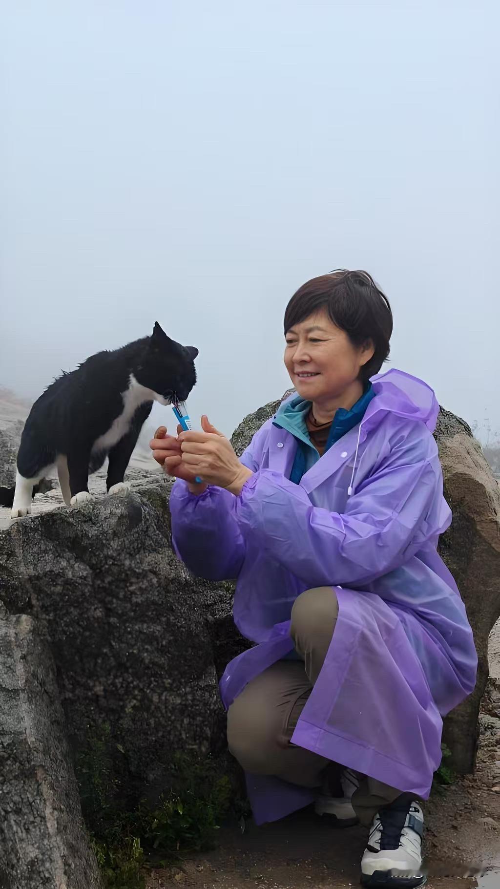 她走了，那个不靠女性魅力立足的人，叫敬一丹杨澜曾有一句令人印象很深的评价：敬一丹是不以“媚”取人的。