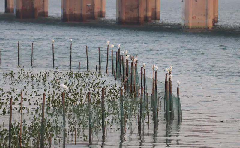 站桩不是蹲马步,是跟自己较劲。三十分钟,不晃不抖,气沉丹田,腿酸但不垮。清华
