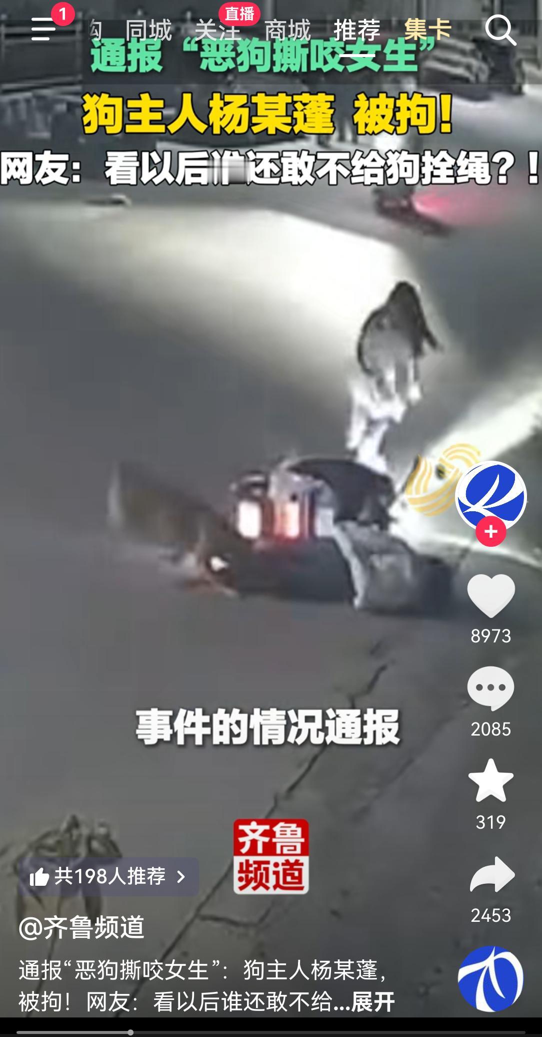 又是恶犬伤人事件，近年发生了许多恶犬伤人事件，我觉得还是禁止养狗。该事件引发