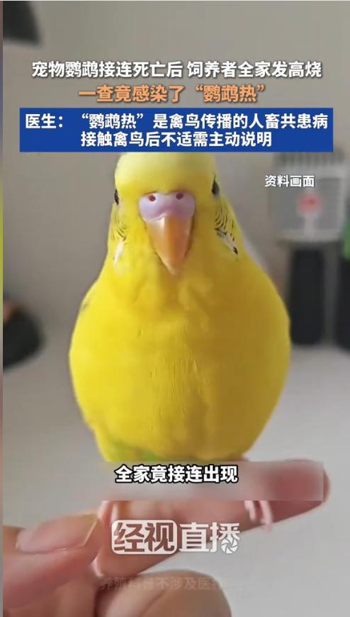 “悲剧还是发生了！”近日，河南郑州，一男子给孩子买了4只鹦鹉当宠物，不料几天后3