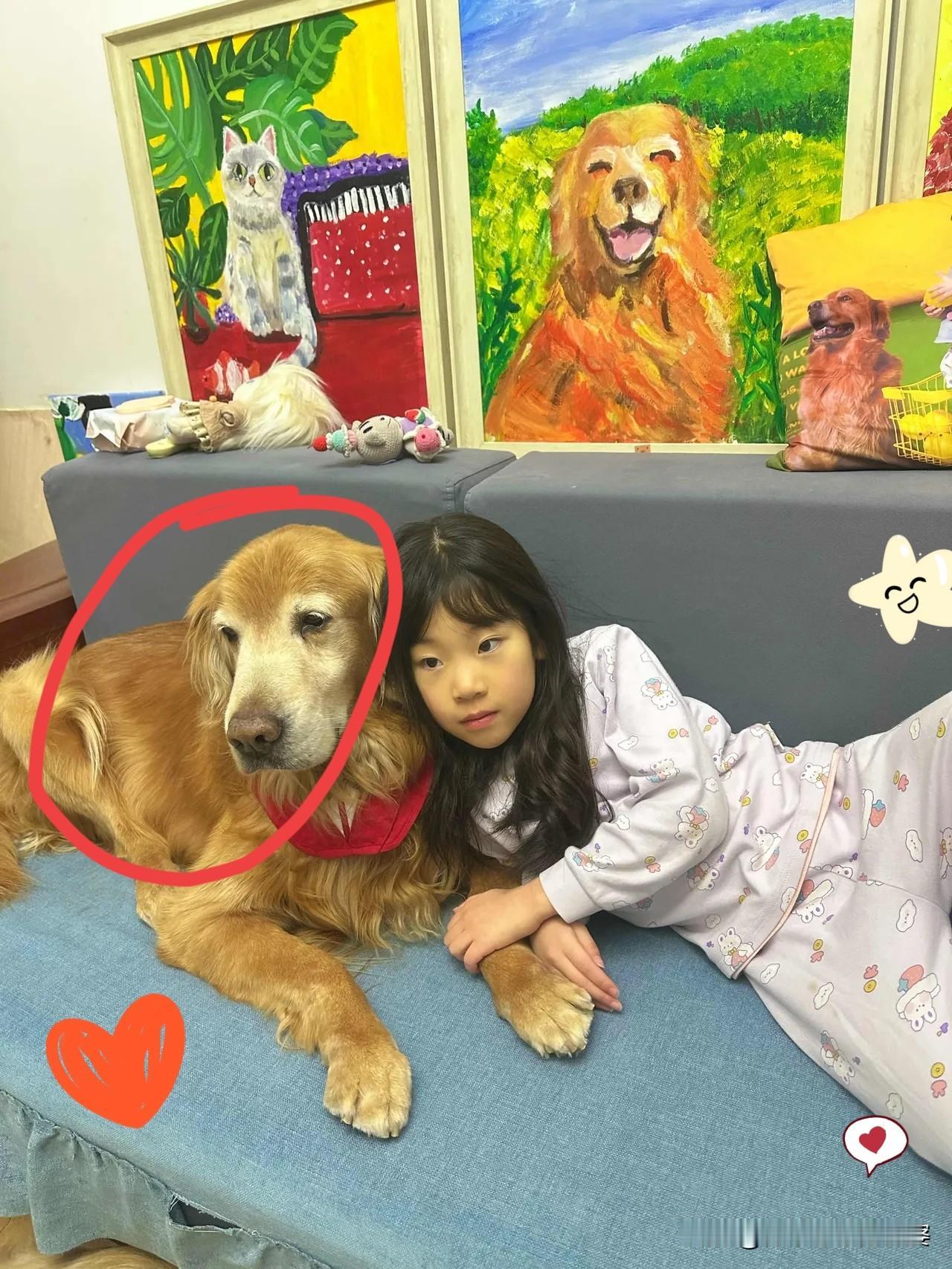 十四载相伴，那个蹦跳的小毛球熬成了步履蹒跚的老伙伴，大包的毛没了往日光泽，可眼里