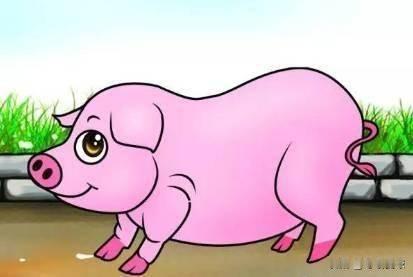 属猪的人看着简简单单。心思却通透清亮。不爱算计，不玩心眼。这