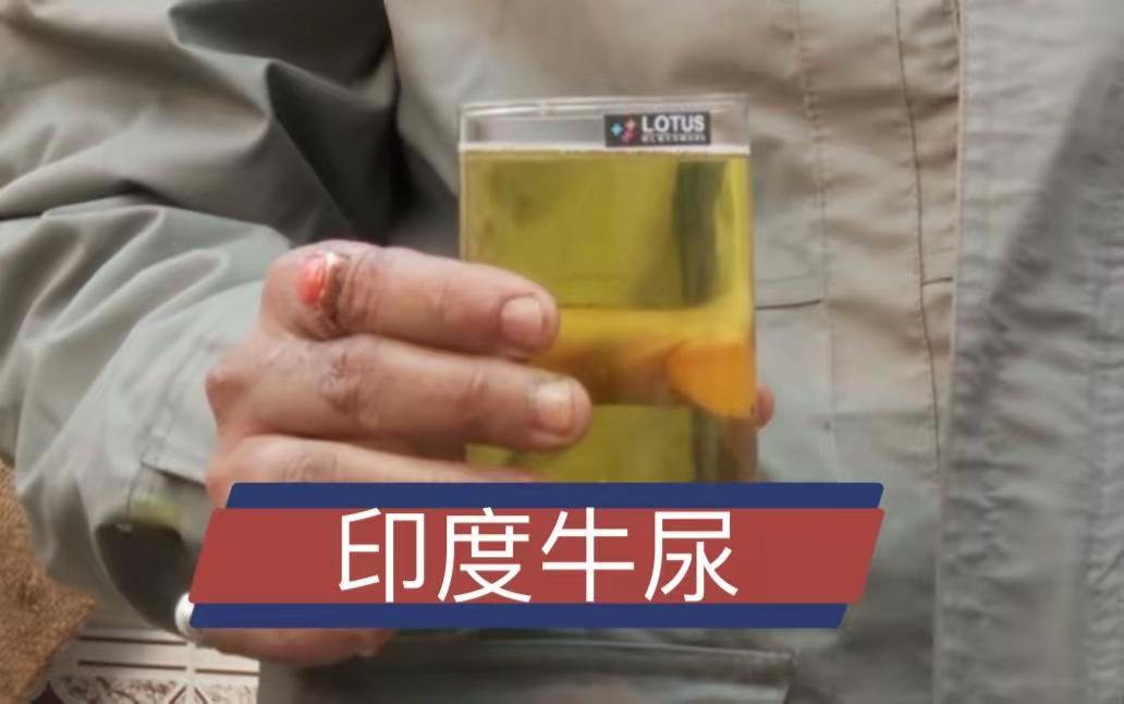 刚从网上看到印度一些教徒喝牛尿，而且还通过蒸馏制成牛尿饮料出售。出