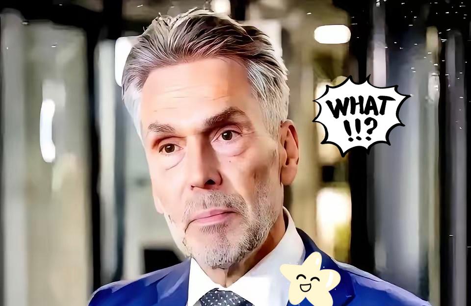 “不是我干的,是法院判的!”荷兰经济部长的公开信,把“甩锅”玩出了新高度。面