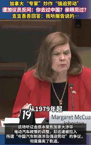 加拿大终于清醒了，靠人不如靠己，华裔议员当场怒怼同僚：你去过中国吗？你没去过你胡