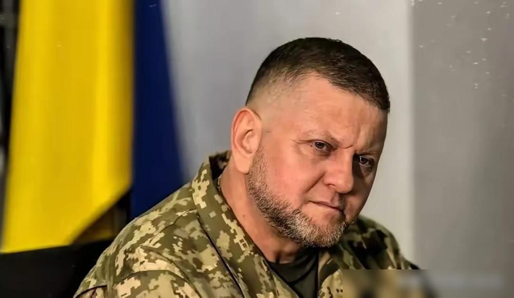 来自外媒的消息说，乌克兰军队前总司令扎卢日内公开表示，一旦乌克兰停火，把士兵从前