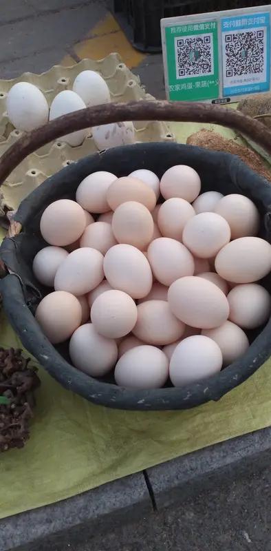 你怎么看街头“扫码送鸡蛋”的套路街头“扫码送鸡蛋”就是妥妥的骗局，专坑咱老年人