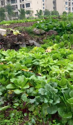 真没有几个能有我姨活得明白的！教书退休后，每个月拿着5000多元的退休金，卖掉了