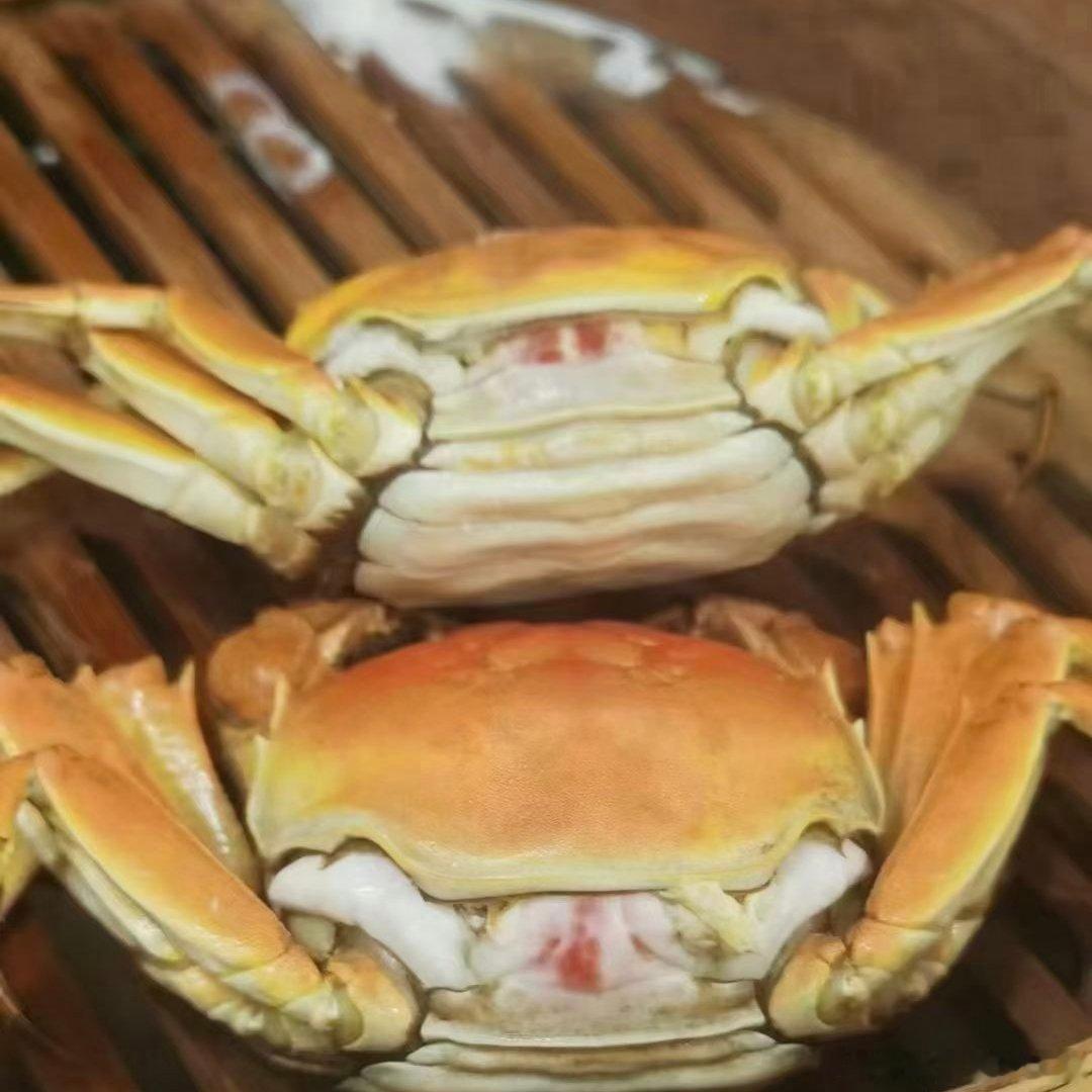 美食十一出游吃什么十一寻味记旅途最好的意义，一半是看风景，一半是寻一口地道烟火味！这趟出行，最惊喜的