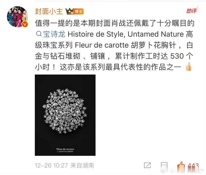 卧槽！肖战新杂志的衣服上佩戴的是胡萝卜花胸针啊啊啊啊又在兔塑！！！早期发的自拍