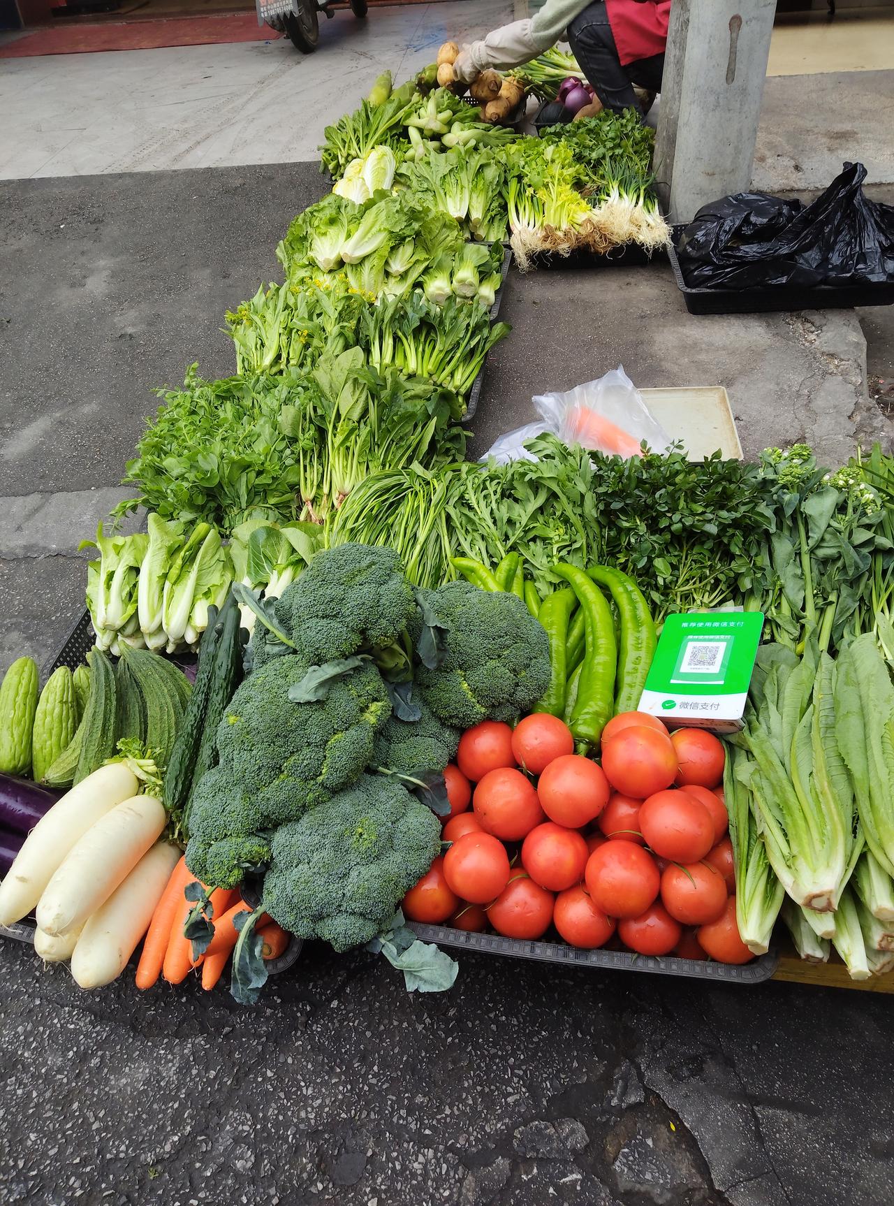 早市的鲜活今早下楼赶早市，一眼就瞅见了这个菜摊。红的番茄、绿的西蓝花，码得