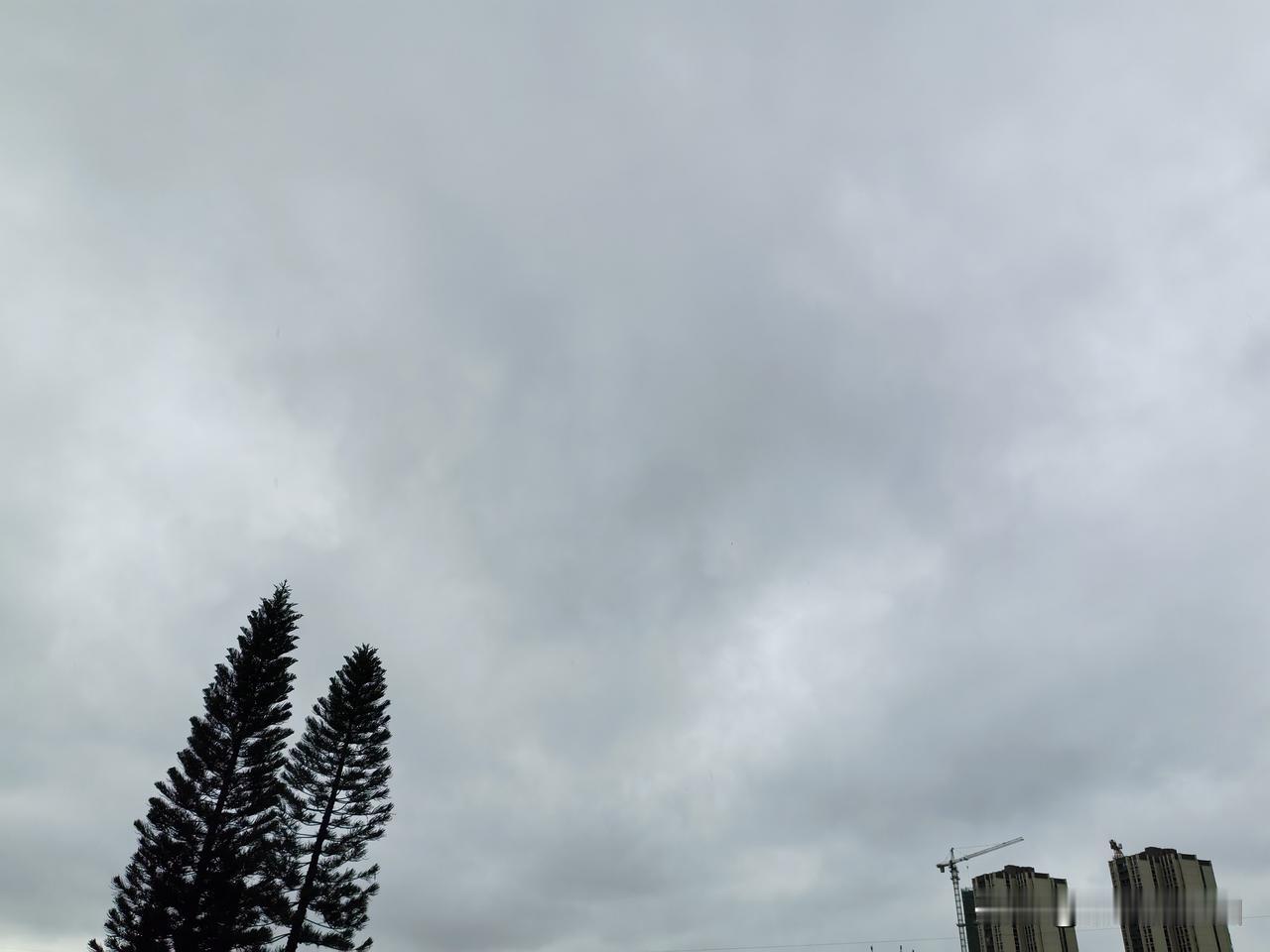 广东雨水持续暴击，明日起雨水减弱！今天（9日），粤东仍有大雨局部暴雨，10日