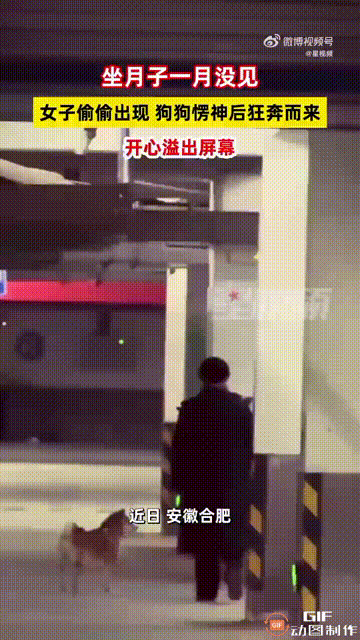 女子生完孩子在家坐月子，怕小狗影响宝宝，就把狗送到娘家让妈妈照顾。这一送就是一个