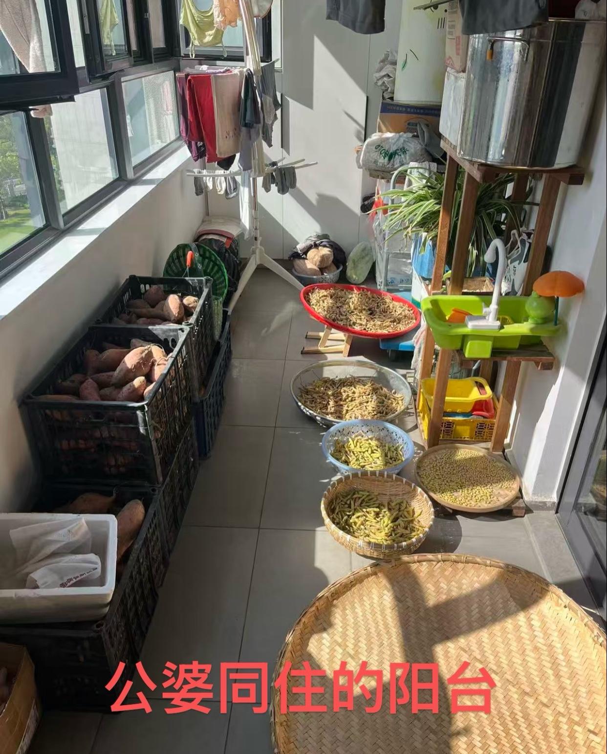 为这事离婚值吗？给他们在附近租个房就不行，一定得挤在一起，说什么有儿子家不