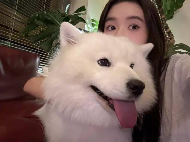 王玉雯与宠物狗自拍合影，状态惬意，雪白的大狗狗超可爱​​​