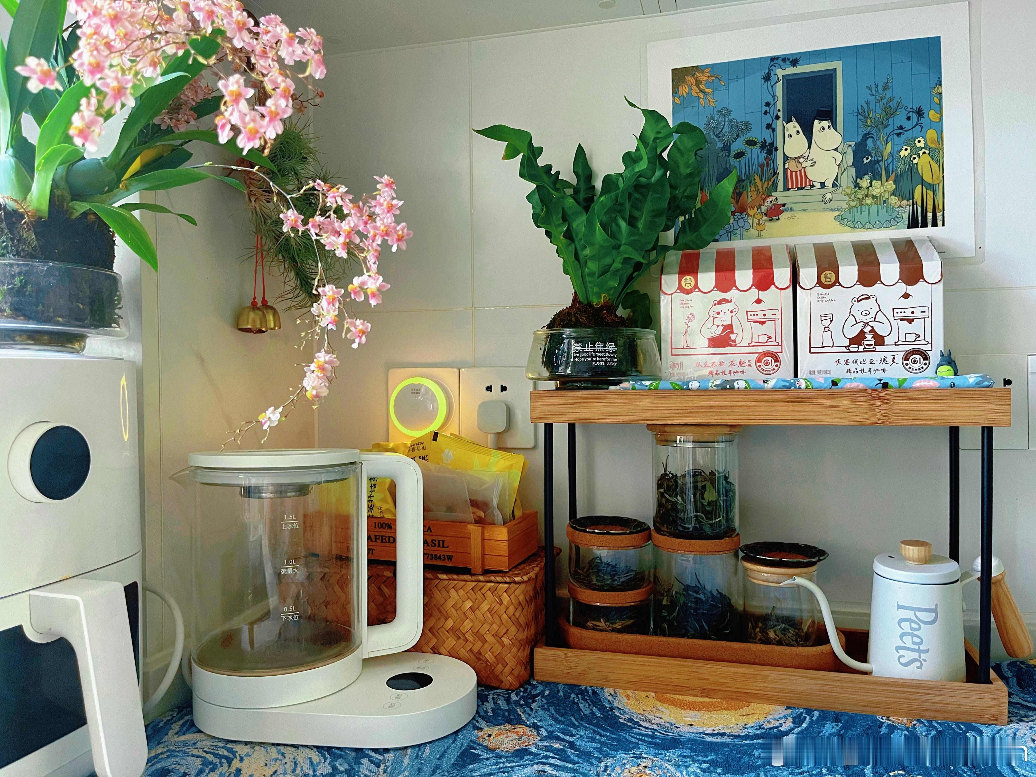 用宜家的塑料储物盒改造了一个生态闷养罐，放在卫生间里。那些不太需要通风、只需要补