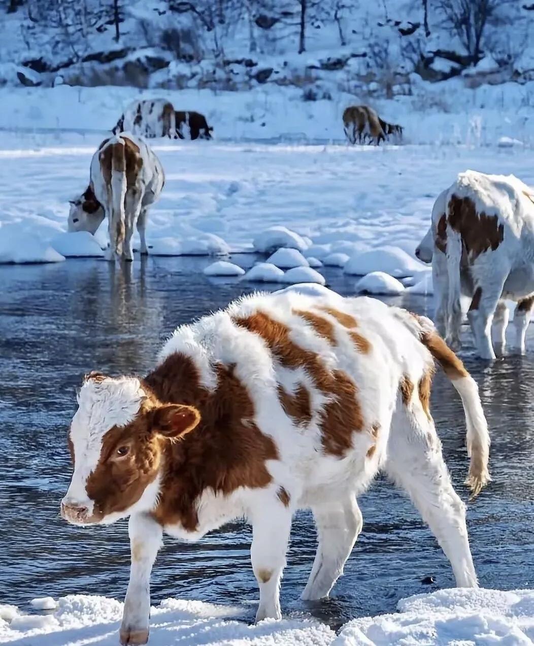 【脾气、嘴巴不好，心地再好也不能算是好人】“脾气、嘴巴不好，心