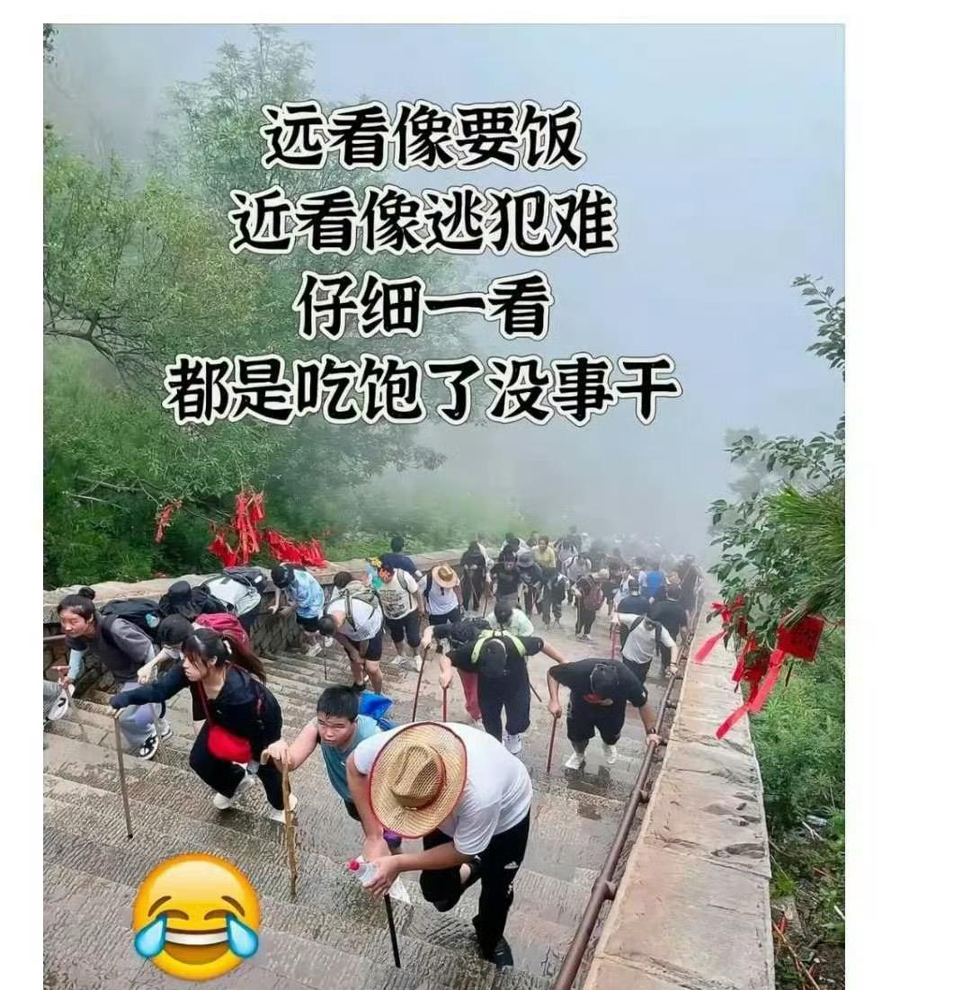 远看像要饭的，近看像逃难的，仔细一看都是吃饱了没事干的……[捂脸哭][捂脸哭][允悲