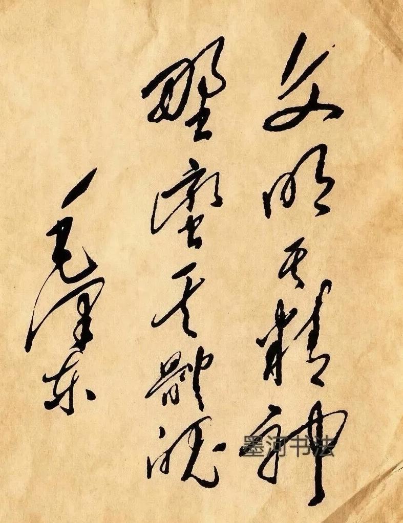 你能认识其中的所有字，并能完整理解其中的含义，我为你竖起大拇指。不仅字难以辨