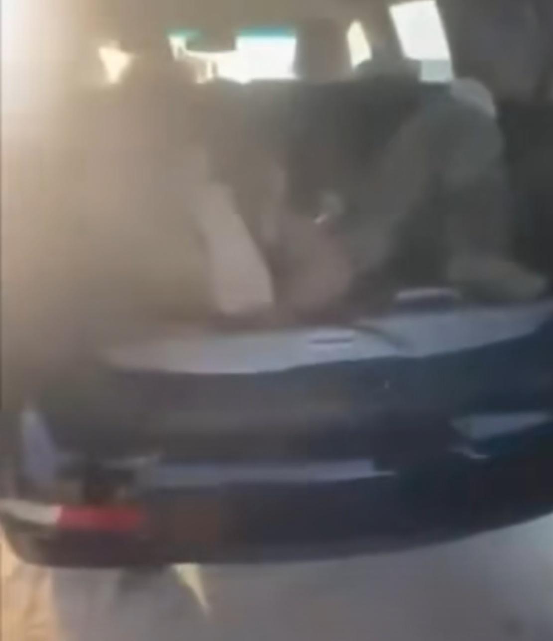 美国F15战斗机飞行员这下乖了：举双手投降，不但挨了一顿胖揍，还得自己乖乖爬进汽