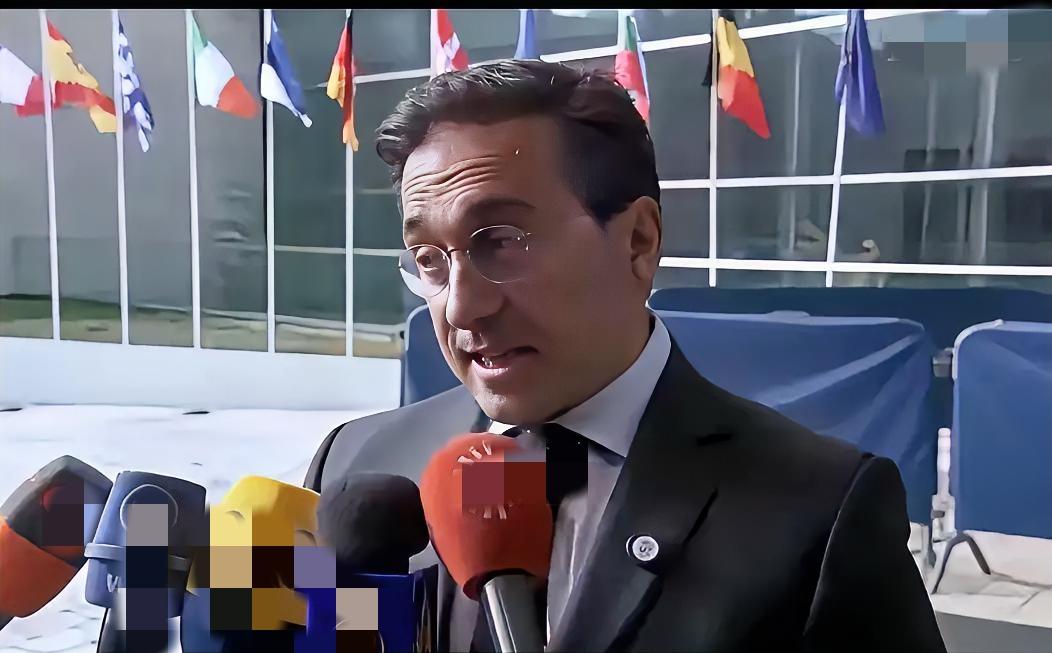 西班牙外长一句话捅穿了德国人的肺管子！德国人的双标再也藏不住了。近日，西班牙