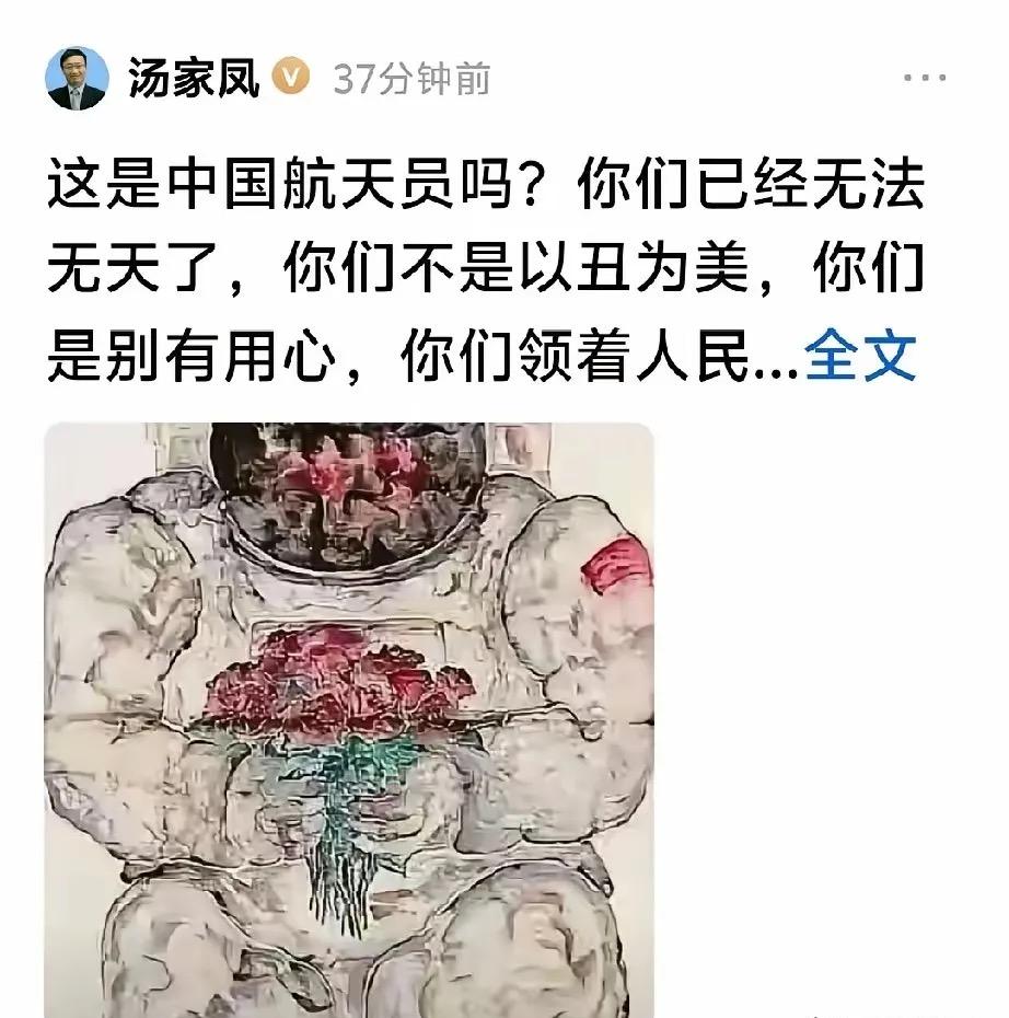 昨天下午，南京大学博士汤家凤发了一条头条，只有短短几行字：“这是中国航天员吗？你